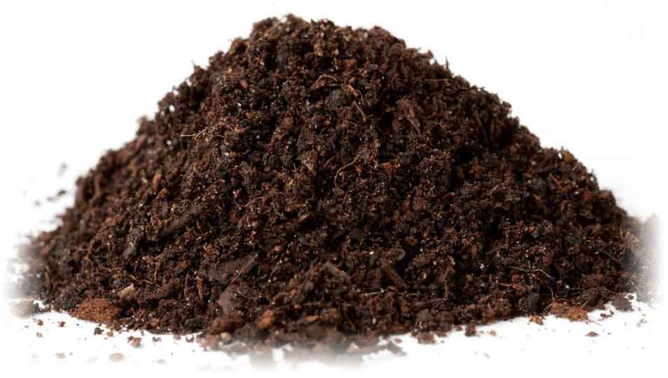 lawndressing in johannesburg